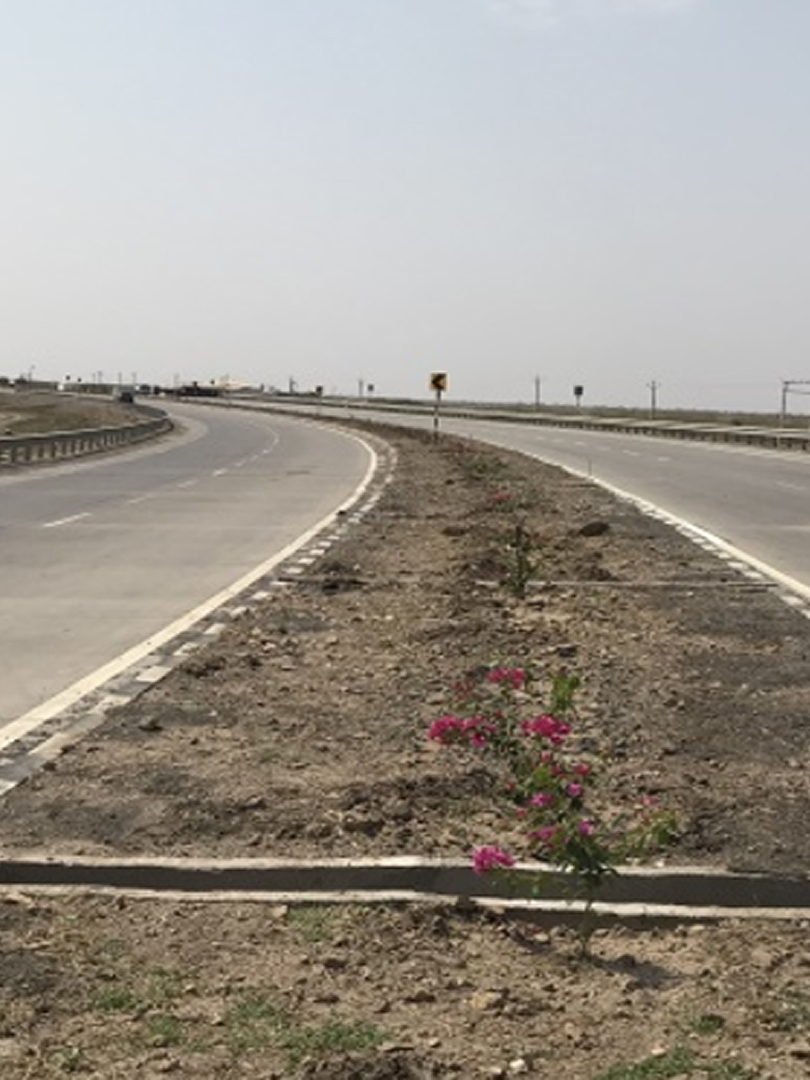 Bhavnagar-Veraval-CC-Road